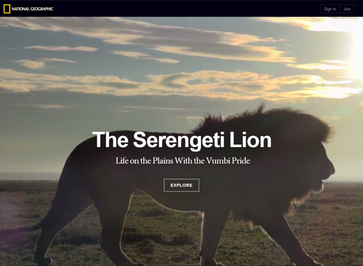National Geographic: Serengeti Lion