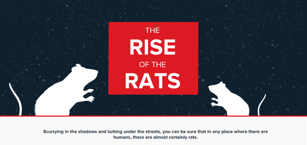 rentokil-rise-of-the-rats