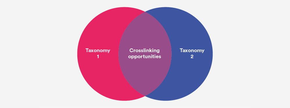 Cross-linking opportunities diagram